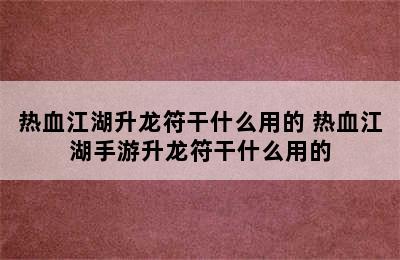 热血江湖升龙符干什么用的 热血江湖手游升龙符干什么用的